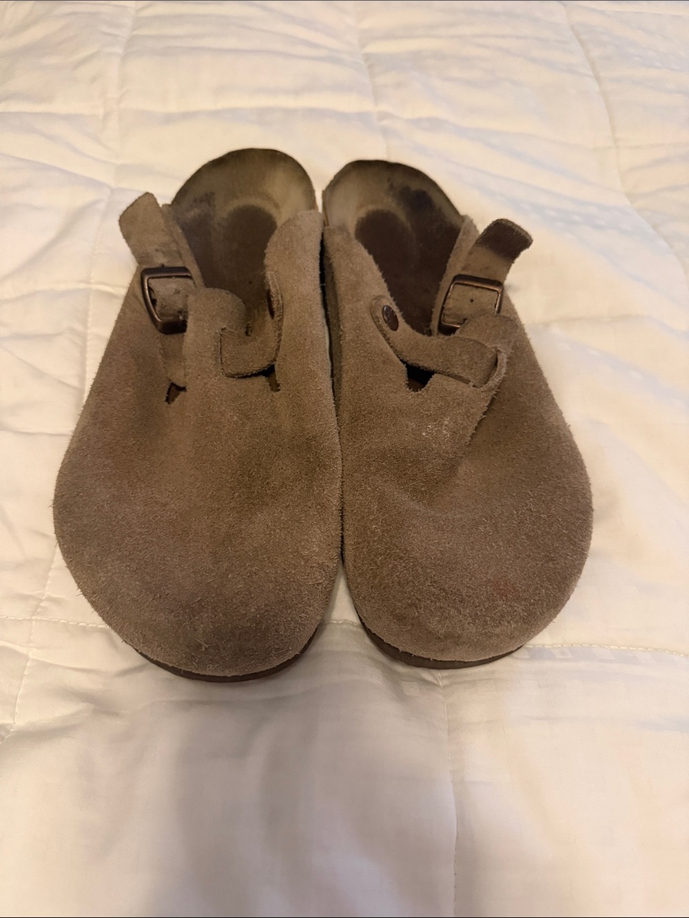 Birkenstock Suede Clog Mule in Brown